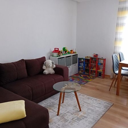 Ferienwohnung Mit Garten Und Spielplatz Klingenthal Εξωτερικό φωτογραφία
