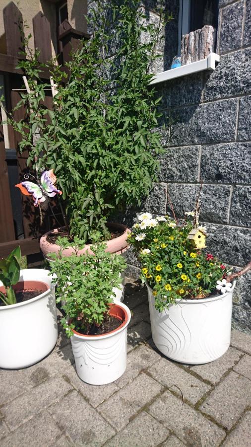 Ferienwohnung Mit Garten Und Spielplatz Klingenthal Εξωτερικό φωτογραφία
