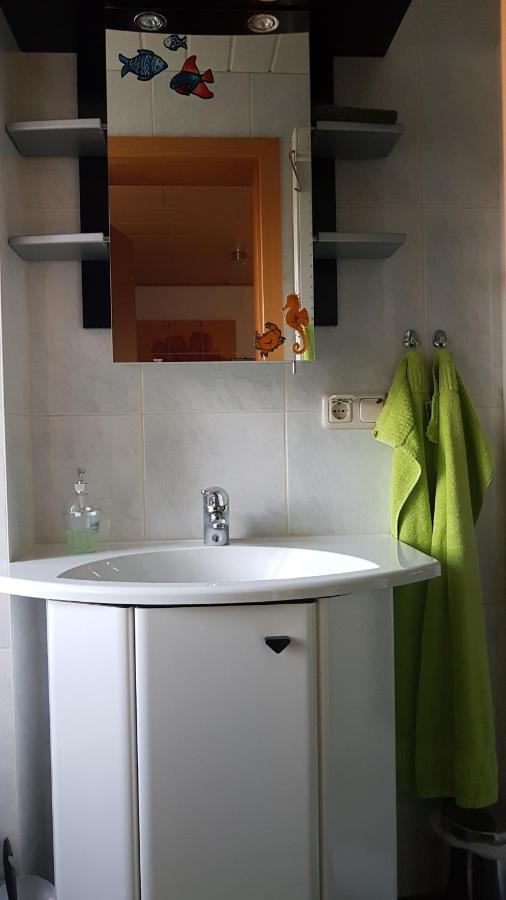 Ferienwohnung Mit Garten Und Spielplatz Klingenthal Εξωτερικό φωτογραφία