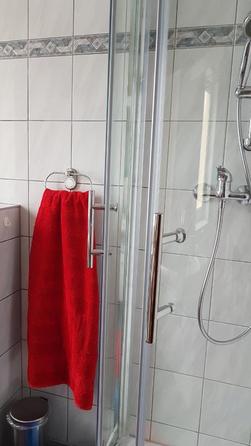 Ferienwohnung Mit Garten Und Spielplatz Klingenthal Εξωτερικό φωτογραφία