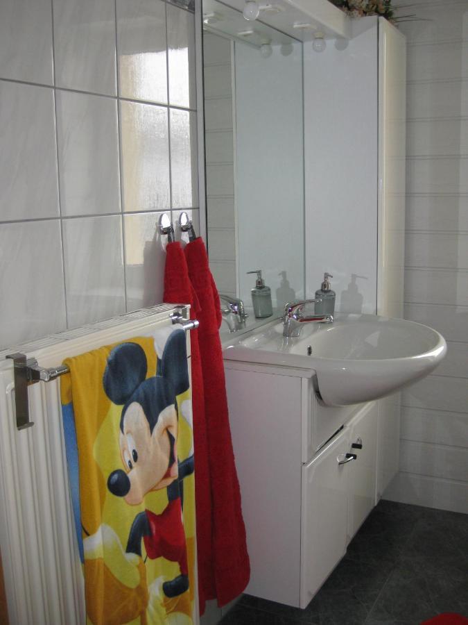 Ferienwohnung Mit Garten Und Spielplatz Klingenthal Εξωτερικό φωτογραφία